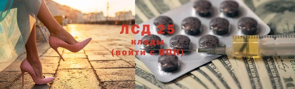 винт Алзамай