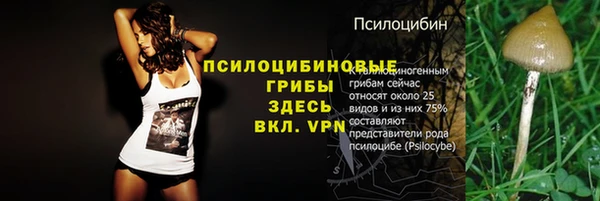 герыч Алексеевка